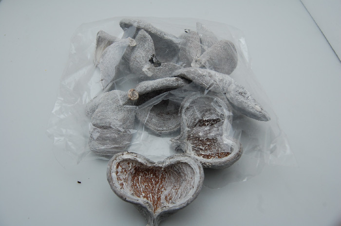 Sušina plody biele 00013 https//www.majadizajn.eu/